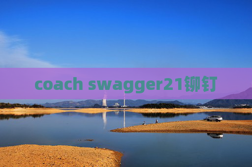 coach swagger21铆钉